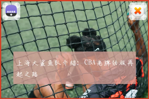 上海大鲨鱼队介绍：CBA老牌劲旅再起之路